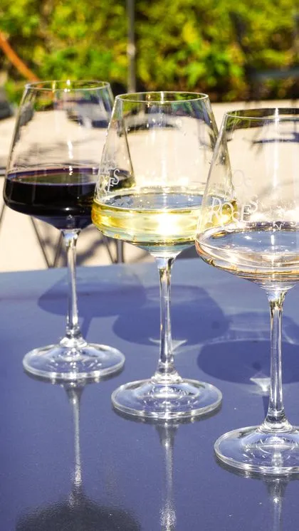 Trois verres de vin — rouge, blanc et rosé — du domaine Clos des Roses